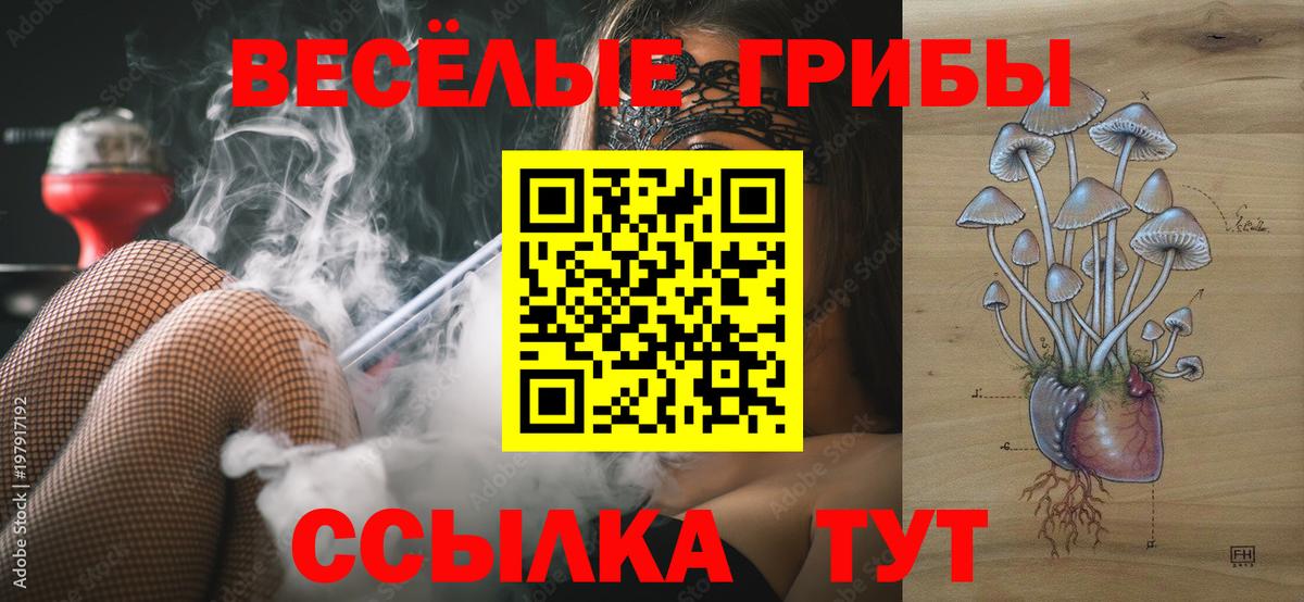 Галлюциногенные грибы GOLDEN TEACHER Каменка